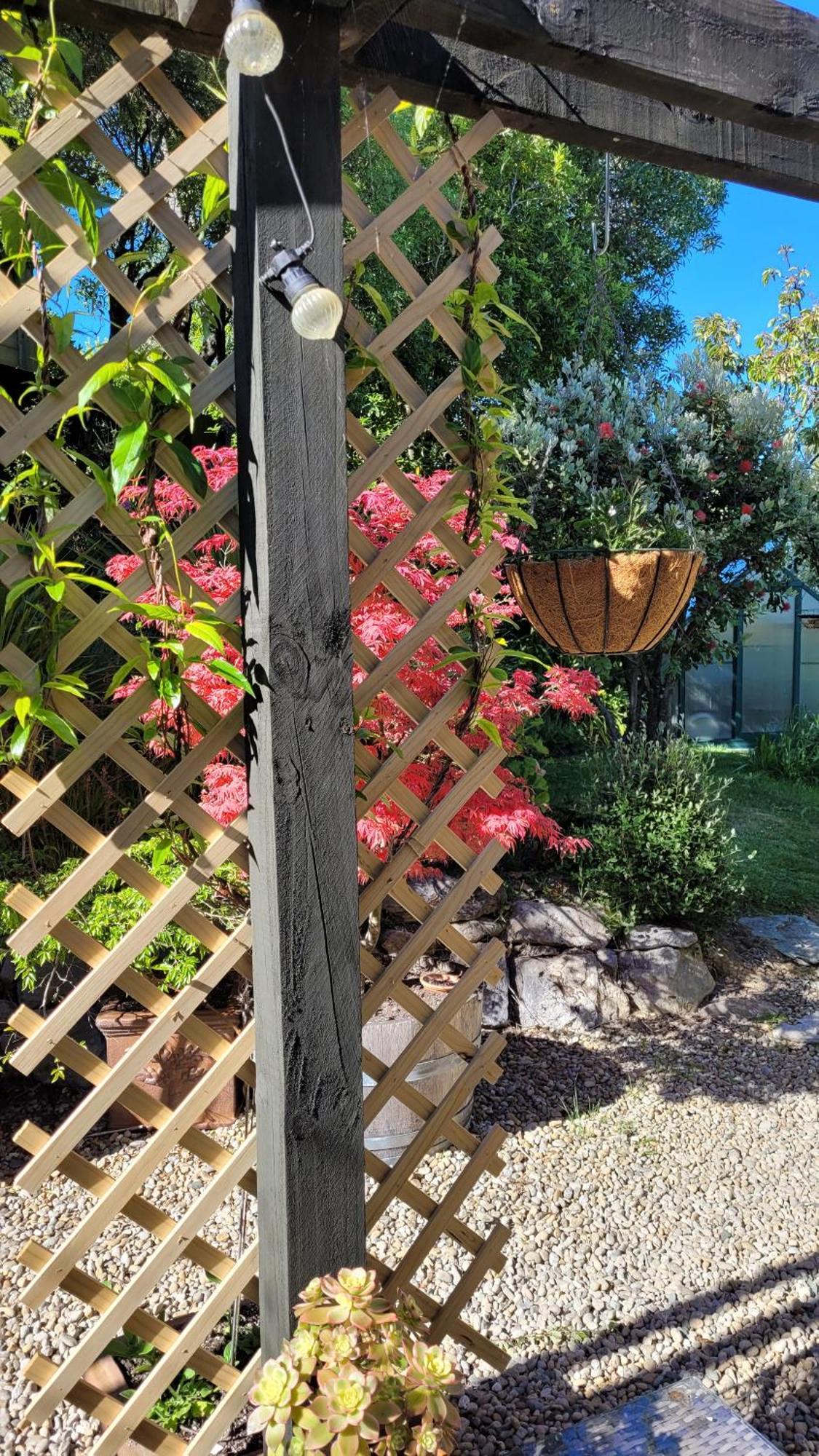 Hazelwood Mapua Bed & Breakfast Exterior foto