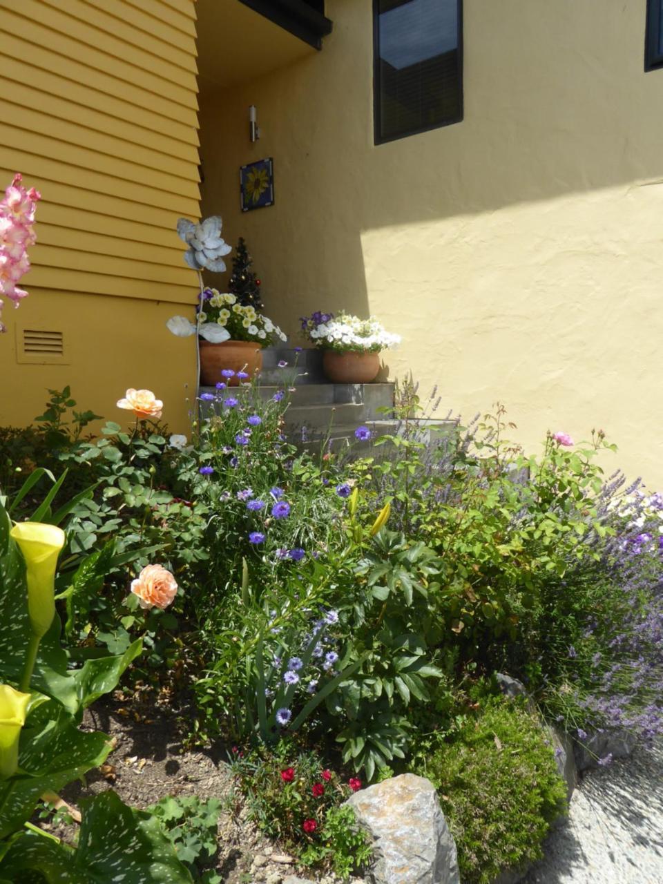 Hazelwood Mapua Bed & Breakfast Exterior foto